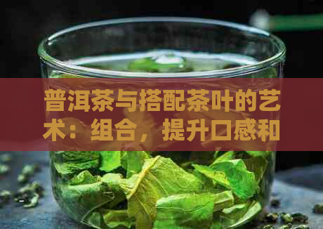 普洱茶与搭配茶叶的艺术：组合，提升口感和品质