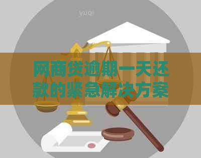 网商贷逾期一天还款的紧急解决方案与建议