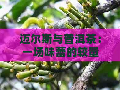 迈尔斯与普洱茶：一场味蕾的较量