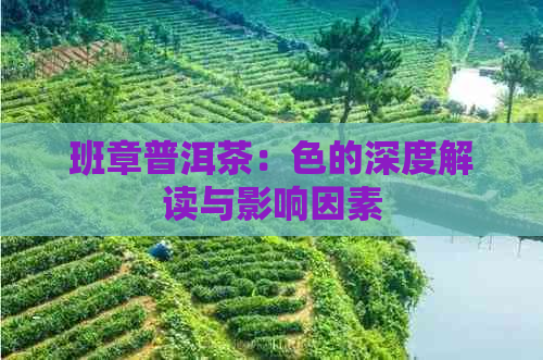 班章普洱茶：色的深度解读与影响因素