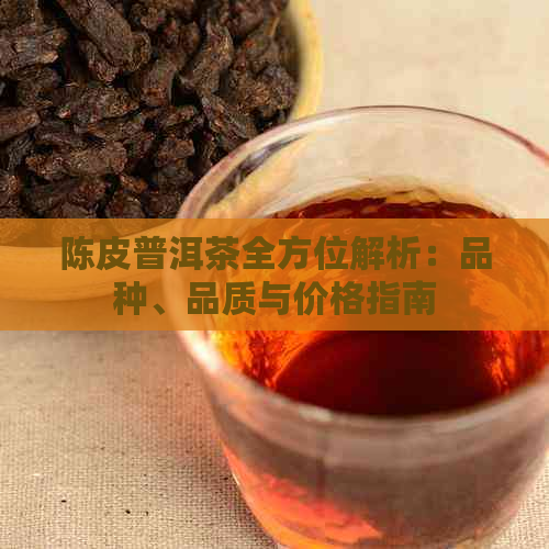 陈皮普洱茶全方位解析：品种、品质与价格指南