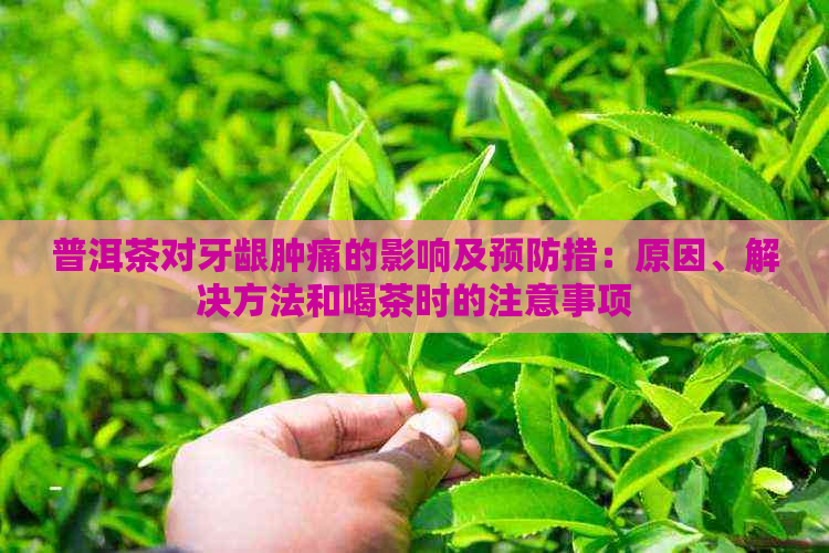 普洱茶对牙龈肿痛的影响及预防措：原因、解决方法和喝茶时的注意事项