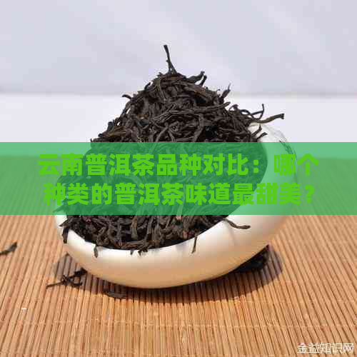 云南普洱茶品种对比：哪个种类的普洱茶味道最甜美？