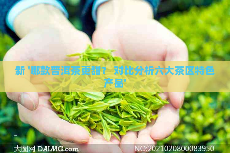 新 '哪款普洱茶更甜？ 对比分析六大茶区特色产品'