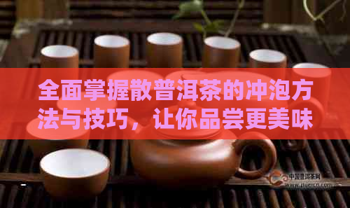 全面掌握散普洱茶的冲泡方法与技巧，让你品尝更美味的茶