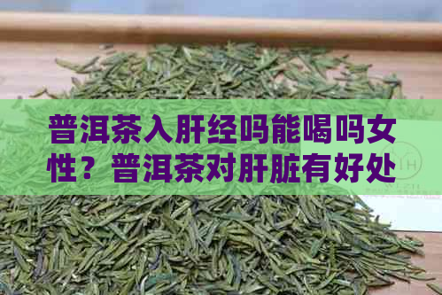 普洱茶入肝经吗能喝吗女性？普洱茶对肝脏有好处吗？