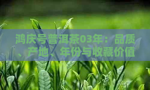 鸿庆号普洱茶03年：品质、产地、年份与收藏价值全面解析