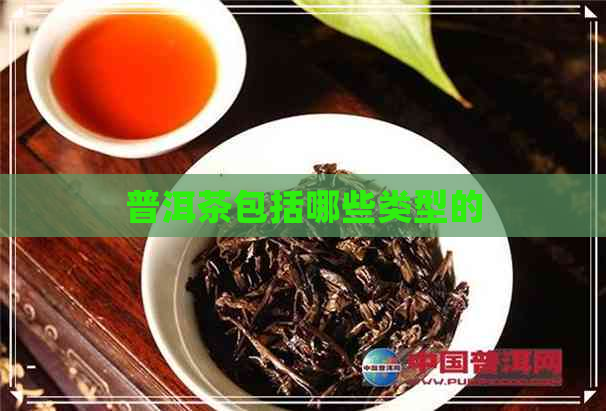 普洱茶包括哪些类型的