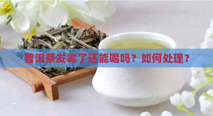 普洱茶发霉了还能喝吗？如何处理？