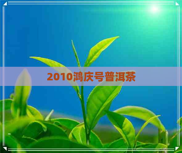 2010鸿庆号普洱茶