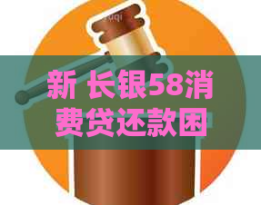 新 长银58消费贷还款困境：不还的后果与解决策略