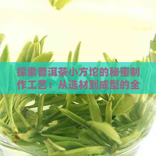 探索普洱茶小方坨的秘密制作工艺：从选材到成型的全过程详解