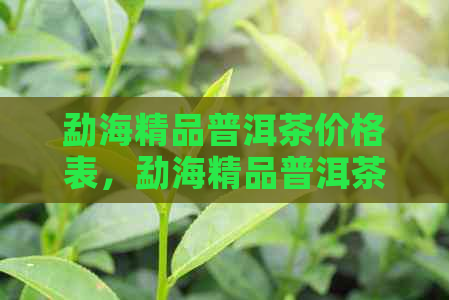 勐海精品普洱茶价格表，勐海精品普洱茶怎么样，勐海茶厂普洱茶价格