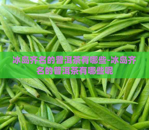 冰岛齐名的普洱茶有哪些-冰岛齐名的普洱茶有哪些呢