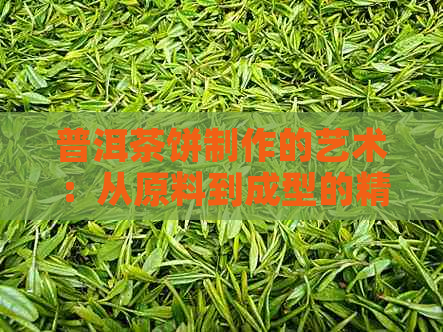 普洱茶饼制作的艺术：从原料到成型的精妙过程