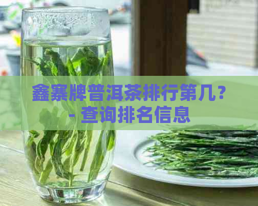 鑫寨牌普洱茶排行第几？- 查询排名信息