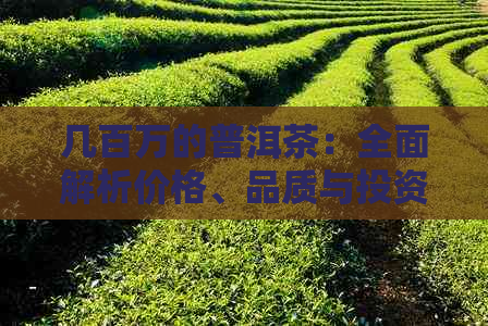 几百万的普洱茶：全面解析价格、品质与投资价值，助您成为普洱茶专家