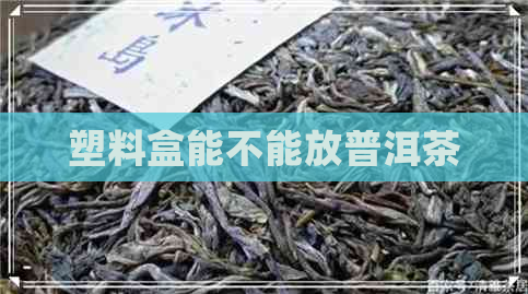 塑料盒能不能放普洱茶