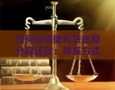 如何协调微粒贷逾期分期还款：联系方式及步骤