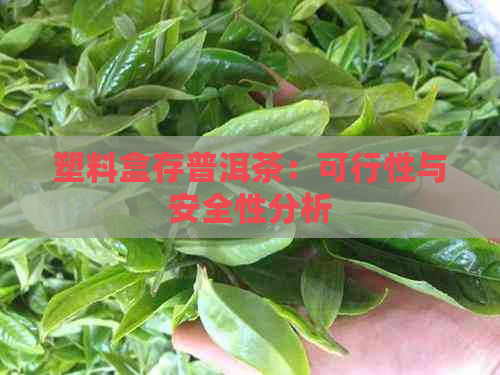 塑料盒存普洱茶：可行性与安全性分析