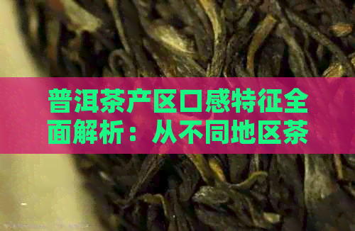 普洱茶产区口感特征全面解析：从不同地区茶叶的风味特点到品饮技巧