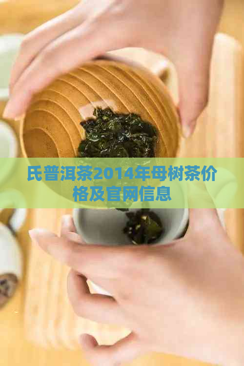 氏普洱茶2014年母树茶价格及官网信息