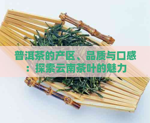 普洱茶的产区、品质与口感：探索云南茶叶的魅力