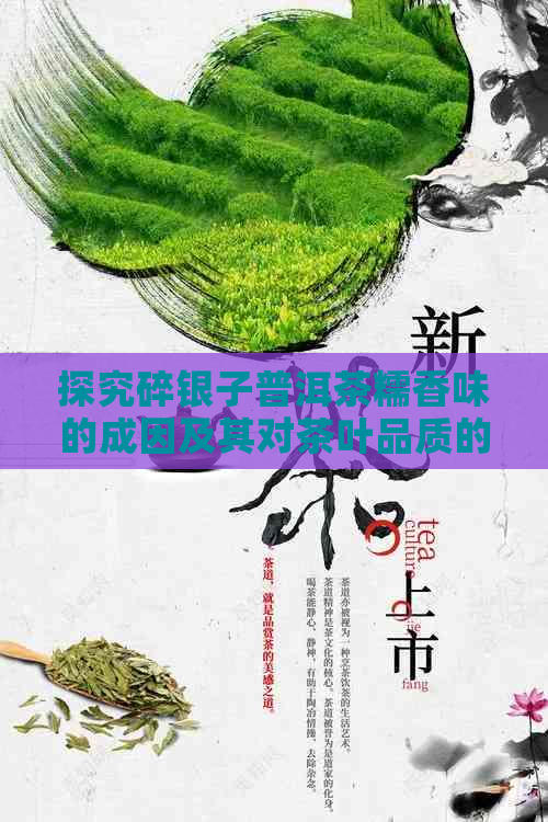 探究碎银子普洱茶糯香味的成因及其对茶叶品质的影响