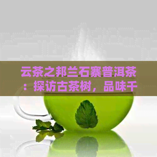 云茶之邦兰石寨普洱茶：探访古茶树，品味千年传承