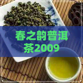 春之韵普洱茶2009