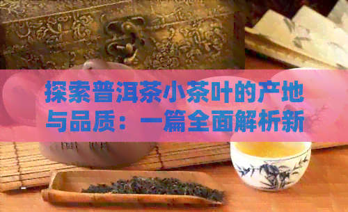 探索普洱茶小茶叶的产地与品质：一篇全面解析新茶源