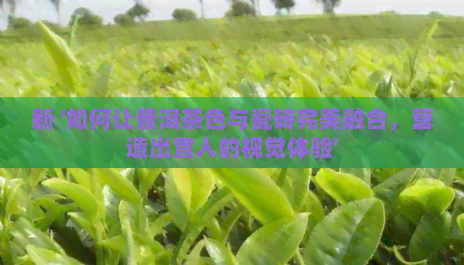 新 '如何让普洱茶色与瓷砖完美融合，营造出宜人的视觉体验'