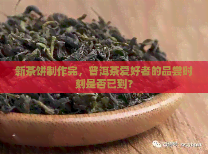 新茶饼制作完，普洱茶爱好者的品尝时刻是否已到？