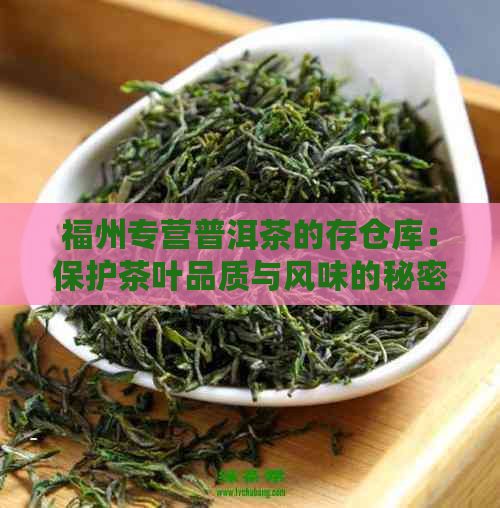 福州专营普洱茶的存仓库：保护茶叶品质与风味的秘密基地