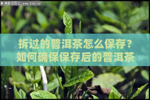 拆过的普洱茶怎么保存？如何确保保存后的普洱茶不变质？