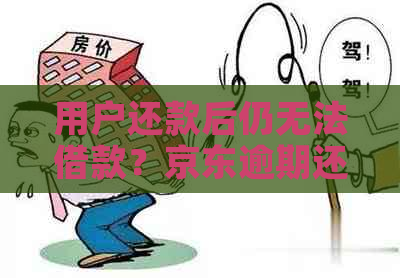 用户还款后仍无法借款？京东逾期还款后解禁时间及原因解析