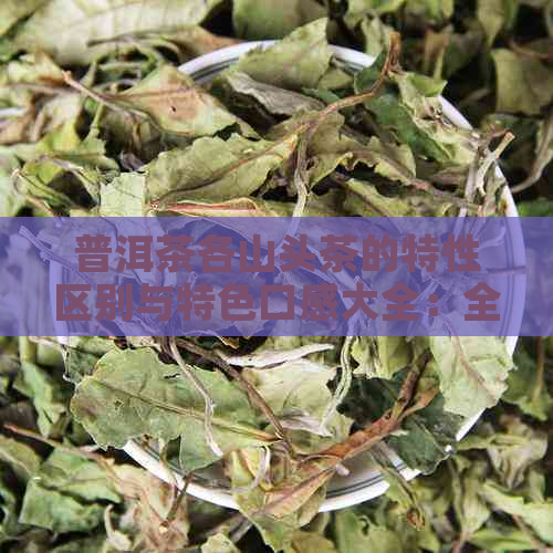 普洱茶各山头茶的特性区别与特色口感大全：全面解析普洱茶各茶区及山头特点