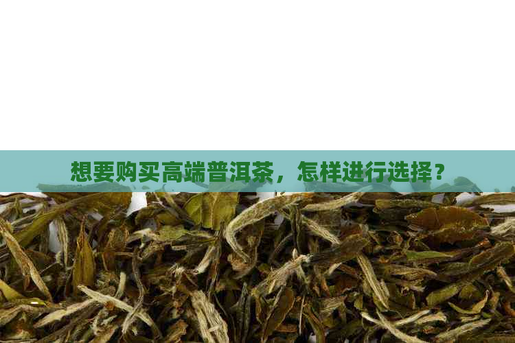 想要购买高端普洱茶，怎样进行选择？