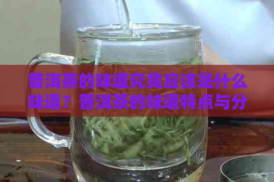 普洱茶的味道究竟应该是什么味道？普洱茶的味道特点与分类解析