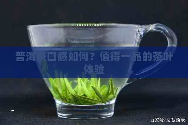 普洱茶口感如何？值得一品的茶叶体验