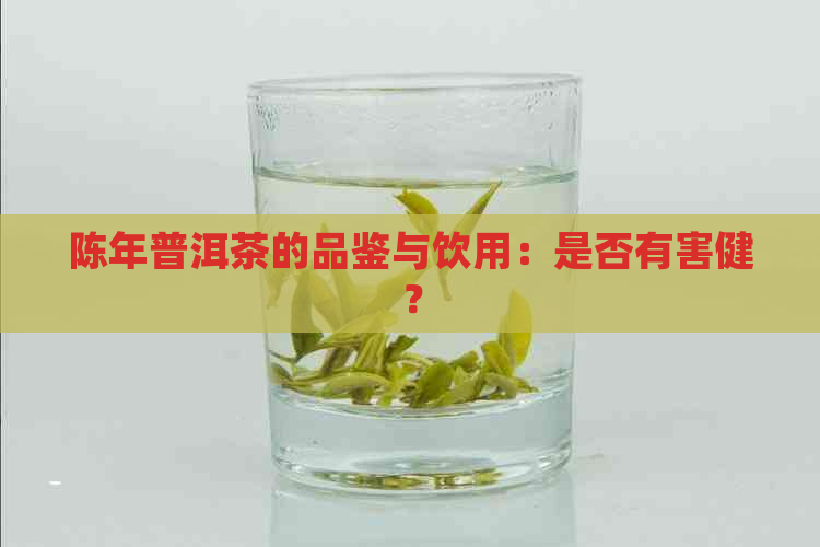 陈年普洱茶的品鉴与饮用：是否有害健？