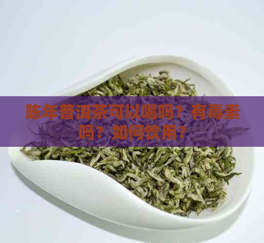 陈年普洱茶可以喝吗？有素吗？如何饮用？