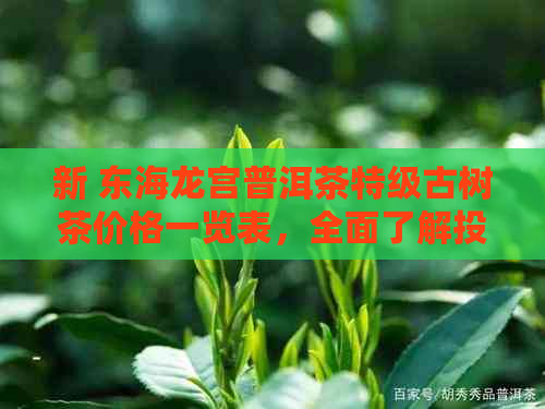 新 东海龙宫普洱茶特级古树茶价格一览表，全面了解投资收藏价值