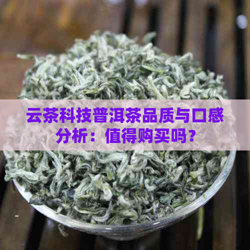 云茶科技普洱茶品质与口感分析：值得购买吗？