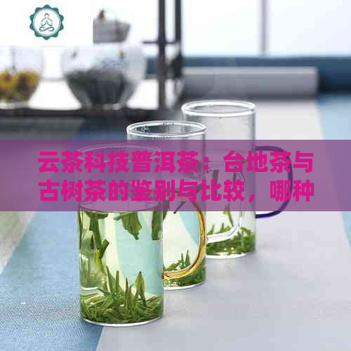 云茶科技普洱茶：台地茶与古树茶的鉴别与比较，哪种更适合您？