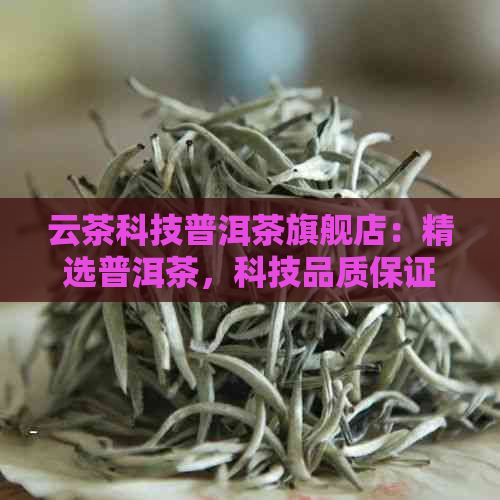 云茶科技普洱茶旗舰店：精选普洱茶，科技品质保证