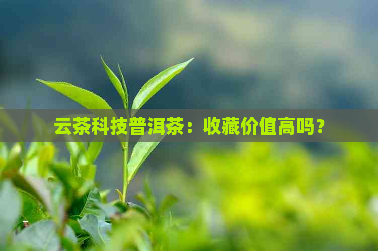 云茶科技普洱茶：收藏价值高吗？