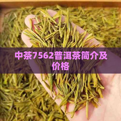 中茶7562普洱茶简介及价格