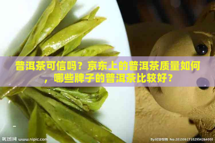 普洱茶可信吗？京东上的普洱茶质量如何，哪些牌子的普洱茶比较好？