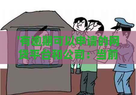 '有逾期可以申请的网贷平台和公司：当前无逾期可申请，提供详细信息'